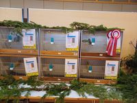 PHOTO-2024-12-09-19-32-52